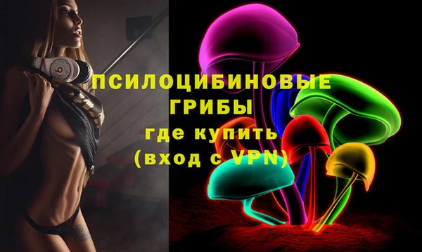герыч Верхний Тагил